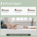 Coreopsis 8" E.King Memory Foam Wave Comfort - Visions in Furniture (La Mirada, CA)