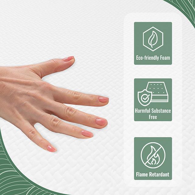 Coreopsis 8" Queen Memory Foam Wave Comfort - Visions in Furniture (La Mirada, CA)
