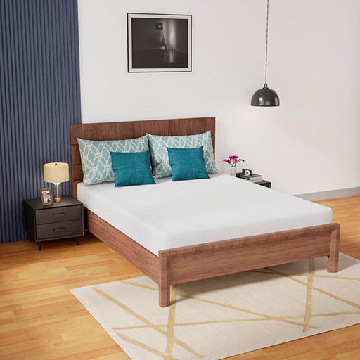 Coreopsis 8" Queen Memory Foam Wave Comfort - Visions in Furniture (La Mirada, CA)