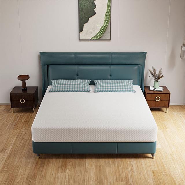 Forsythia 10" E.King Green Tea Gel Memory Foam - Visions in Furniture (La Mirada, CA)