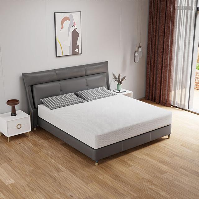Forsythia 10" Queen Green Tea Gel Memory Foam - Visions in Furniture (La Mirada, CA)