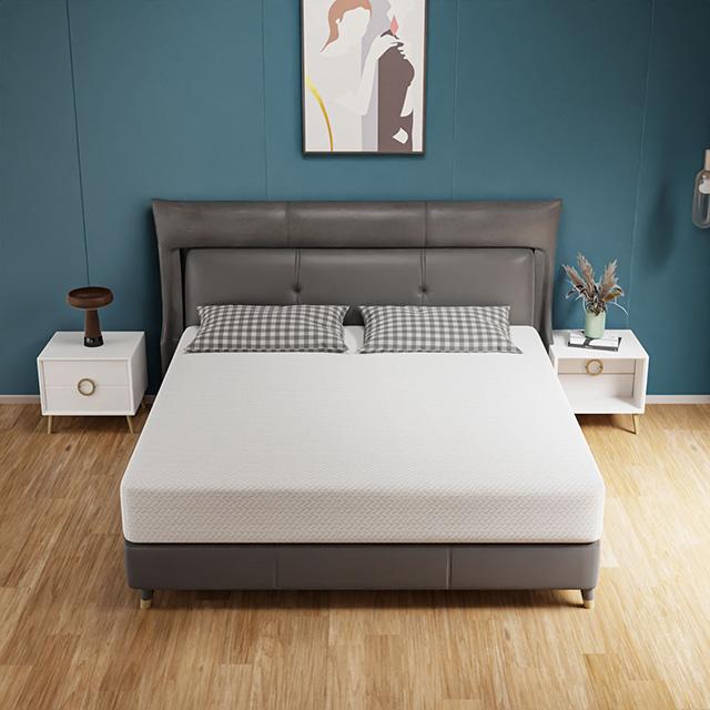 Forsythia 10" Queen Green Tea Gel Memory Foam - Visions in Furniture (La Mirada, CA)