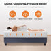 Forsythia 12" E.King Green Tea Gel Memory Foam - Visions in Furniture (La Mirada, CA)