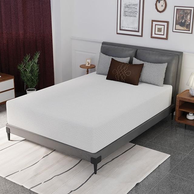 Forsythia 12" Full Green Tea Gel Memory Foat - Visions in Furniture (La Mirada, CA)