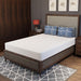 Forsythia 8" Full Green Tea Gel Memory Foam - Visions in Furniture (La Mirada, CA)