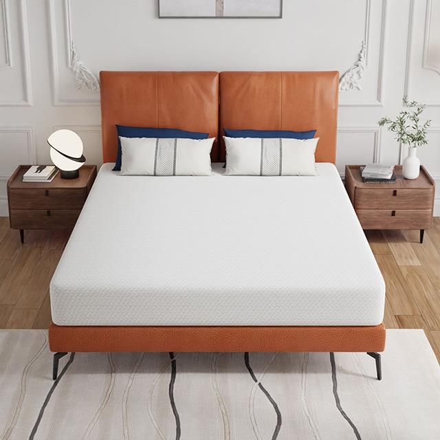 Forsythia 8" Queen Green Tea Gel Memory Foam - Visions in Furniture (La Mirada, CA)