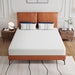 Forsythia 8" Queen Green Tea Gel Memory Foam - Visions in Furniture (La Mirada, CA)