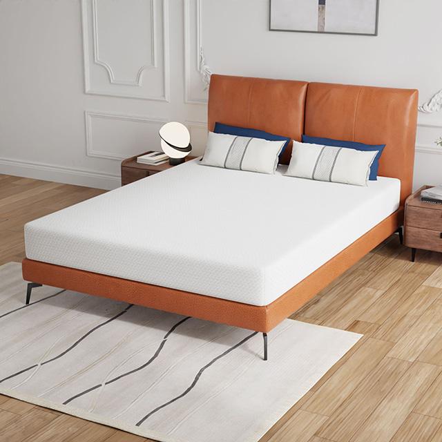 Forsythia 8" Queen Green Tea Gel Memory Foam - Visions in Furniture (La Mirada, CA)