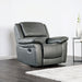 Glarus Recliner Chair - Visions in Furniture (La Mirada, CA)