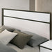 BIRSFELDEN Cal.King, E.King, & Queen Bed, White - Visions in Furniture (La Mirada, CA)
