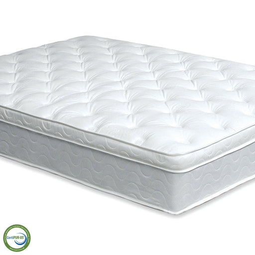 Bird Of Paradise Euro Pillow Top Mattress - Visions in Furniture (La Mirada, CA)