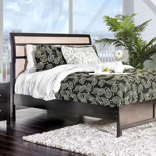 Berenice Bed Purple Brown - Visions in Furniture (La Mirada, CA)
