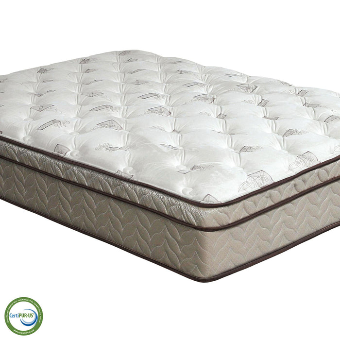 Lilium White/Brown 13" Euro Pillow Top Mattress, Full - Visions in Furniture (La Mirada, CA)