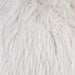 Sheri White 20" X 20" Pillow, Shaggy White (2/CTN) - Visions in Furniture (La Mirada, CA)