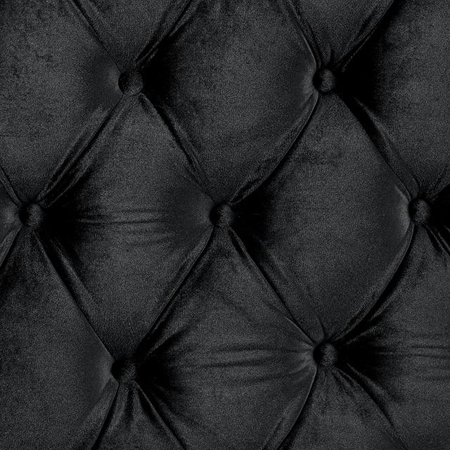 STEFANIA E.King & Queen Bed, Black & Gray - Visions in Furniture (La Mirada, CA)
