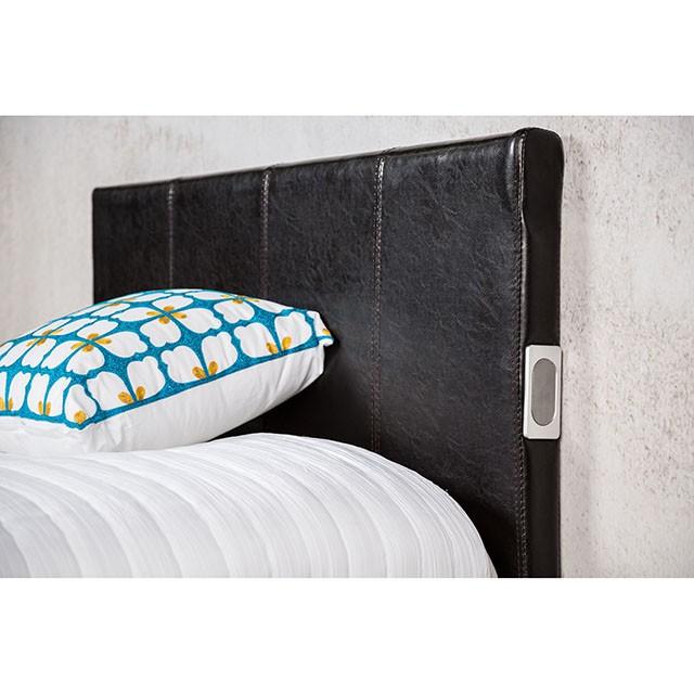 Evans Bed Espresso & Pink - Visions in Furniture (La Mirada, CA)