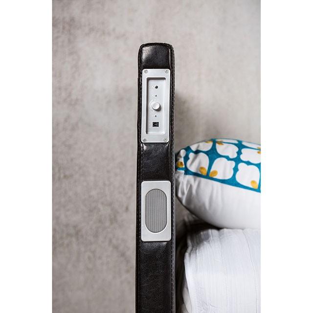 Evans Bed Espresso & Pink - Visions in Furniture (La Mirada, CA)