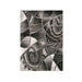 SIVAS 8' X 10' Area Rug - Visions in Furniture (La Mirada, CA)
