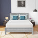 Coreopsis 10" Queen Memory Foam Wave Comfort - Visions in Furniture (La Mirada, CA)