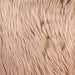 Wendy Blush 20" X 20" Pillow, Fur Blush (2/CTN) - Visions in Furniture (La Mirada, CA)