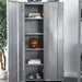 Zaheera Silver Large Locker - Visions in Furniture (La Mirada, CA)