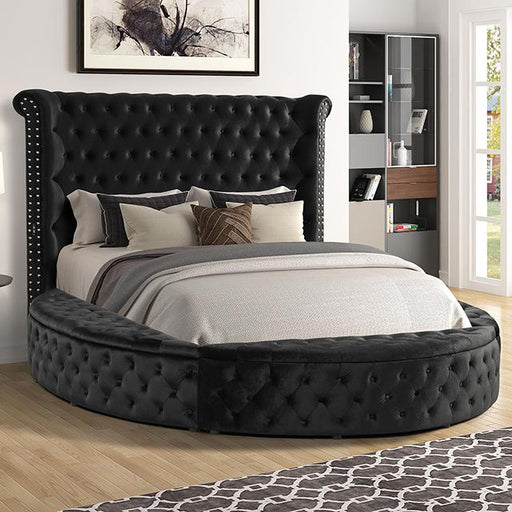 SANSOM E.King & Queen Bed, Black, Blue, & Grey - Visions in Furniture (La Mirada, CA)