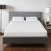 Artemisia 10" E.King, Full, Twin, & Queen Memory Foam Mattress - Visions in Furniture (La Mirada, CA)