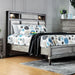 DAPHNE Gray Cal.King, E.King & Queen Bed - Visions in Furniture (La Mirada, CA)