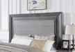 RAIDEN Cal.King, E.King, & Queen Bed, Gray - Visions in Furniture (La Mirada, CA)