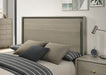 Rainier Queen Bedroom Set Gray - Visions in Furniture (La Mirada, CA)