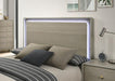 Rainier Queen Bedroom Set Gray - Visions in Furniture (La Mirada, CA)