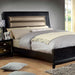 Golva Bed Beige & Black - Visions in Furniture (La Mirada, CA)