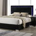 Sinistra E.King & Queen Bed White, Black & Beige - Visions in Furniture (La Mirada, CA)