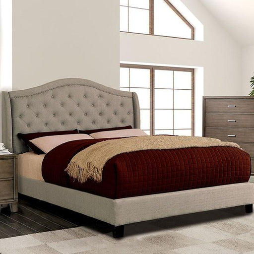 Carly Bed Grey & Brown - Visions in Furniture (La Mirada, CA)