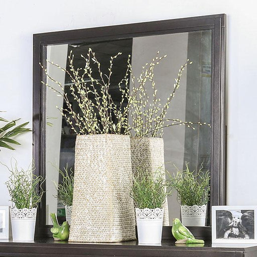 Berenice Espresso Mirror - Visions in Furniture (La Mirada, CA)