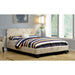 Evans E.King & Cal.King Bed Espressso, White, & Camel - Visions in Furniture (La Mirada, CA)
