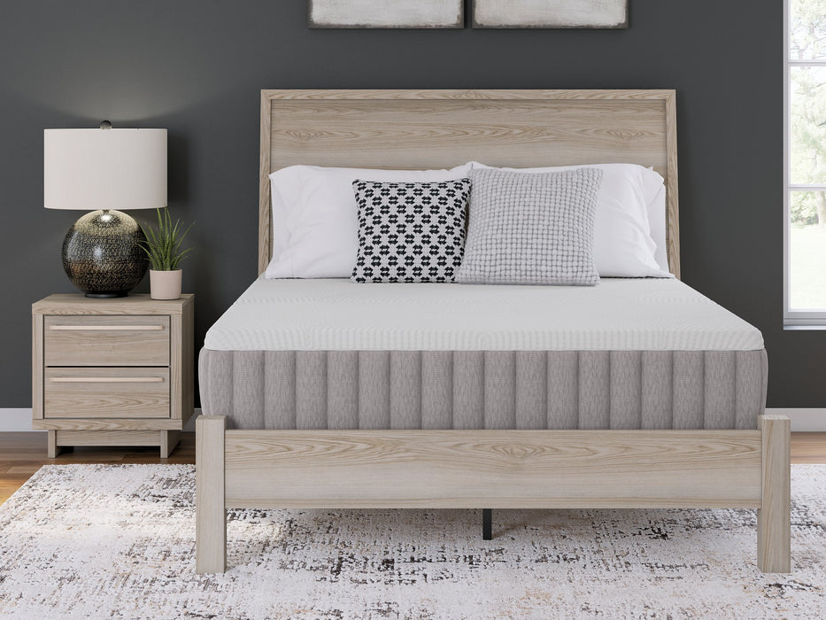 Terra Sleep Medium Mattress - Visions in Furniture (La Mirada, CA)