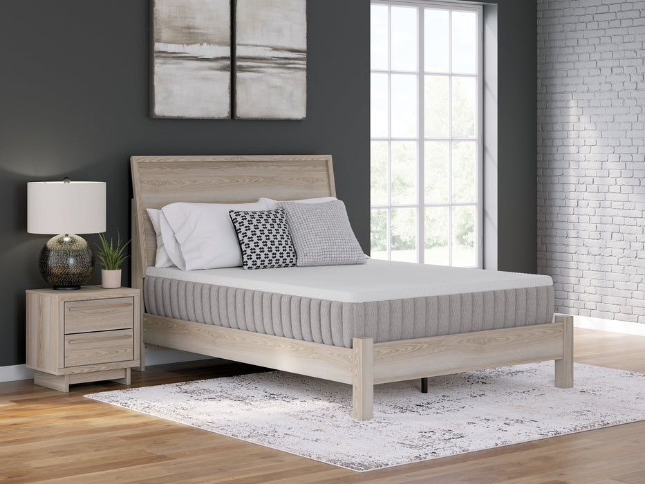 Terra Sleep Medium Mattress - Visions in Furniture (La Mirada, CA)