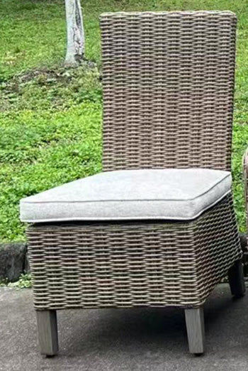 Laguna Heights Side Chair with Cushion (Set of 2) - Visions in Furniture (La Mirada, CA)