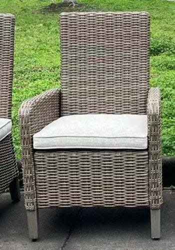 Laguna Heights Arm Chair with Cushion (Set of 2) - Visions in Furniture (La Mirada, CA)