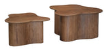 Abeford Accent Coffee Table (Set of 2) - Visions in Furniture (La Mirada, CA)