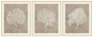 Hendridge Wall Art (Set of 3) - Visions in Furniture (La Mirada, CA)