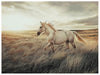 Errolville Wall Art - Visions in Furniture (La Mirada, CA)