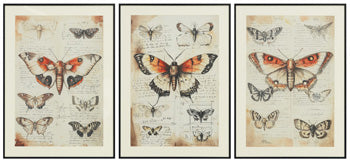 Jossletts Wall Art (Set of 3) - Visions in Furniture (La Mirada, CA)