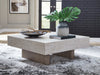 Jorlaina Coffee Table - Visions in Furniture (La Mirada, CA)