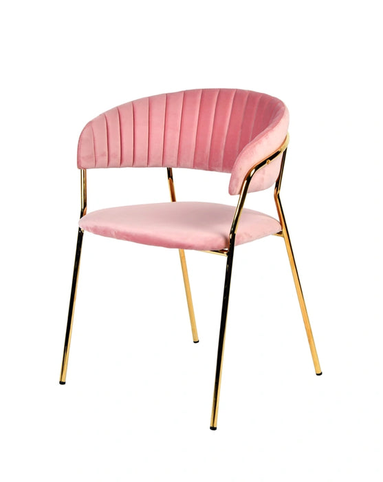 Modrest Brandy Modern Dining Chair