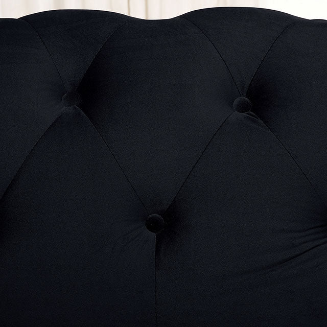 Giacomo Chair Black & Blue - Visions in Furniture (La Mirada, CA)