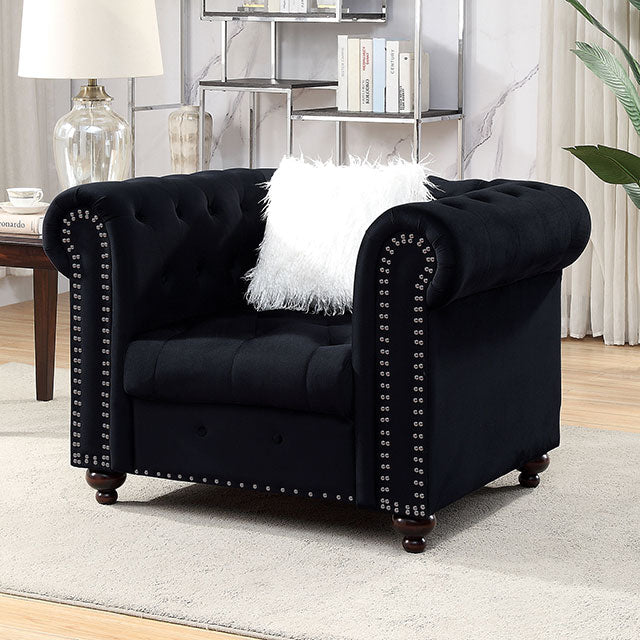 Giacomo Chair Black & Blue - Visions in Furniture (La Mirada, CA)