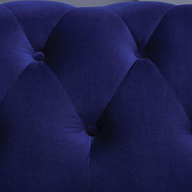 Giacomo Chair Black & Blue - Visions in Furniture (La Mirada, CA)