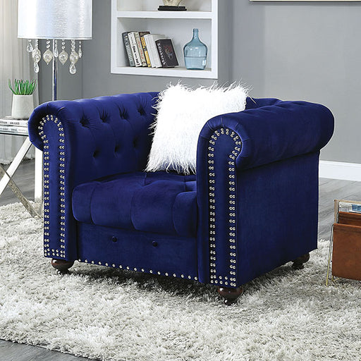 Giacomo Chair Black & Blue - Visions in Furniture (La Mirada, CA)